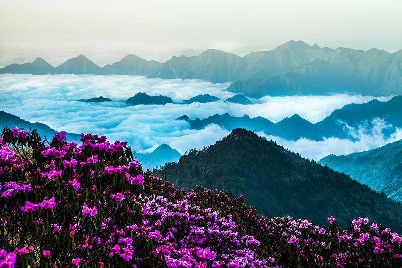 2021年，你觉得有哪些国内旅游地方是相对安全的？游戏画面